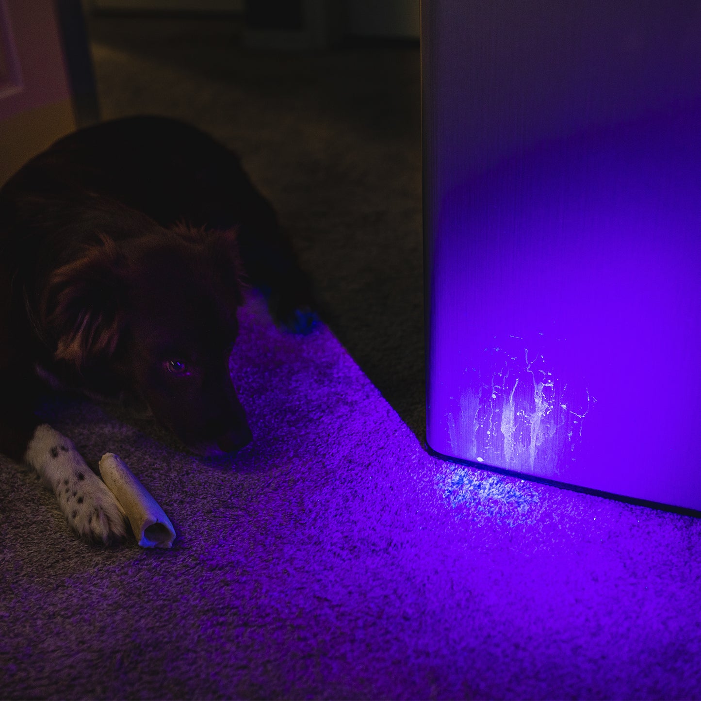 TORCHY UV
